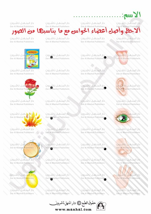 صور الحواس الخمسة - اشرح لاطفال اهميه الحواس الخامسه بالصور 3989 9