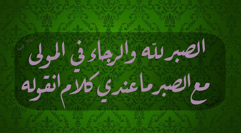 امثال وحكم عن الصبر - الصبر وافضاله 1802 6