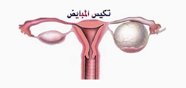 متى تتوقف المراه عن الحمل - اسباب يمكن ان تلحق بالمراه توقفها عن الحمل 379 2