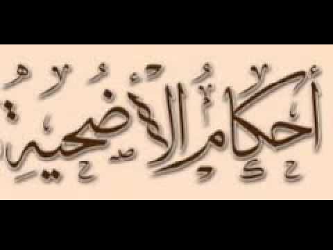 حكم الاضحية للحاج - اضحية الحاج 1056