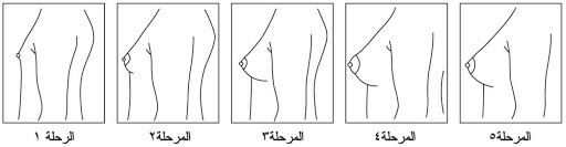 صور صدر فتيات - بنات جذابه باحلى اطلاله 2636 5