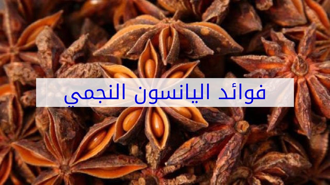 فوائد نجمة اليانسون للشعر - ماهي فوائد اليانسون للشعر 2646 3