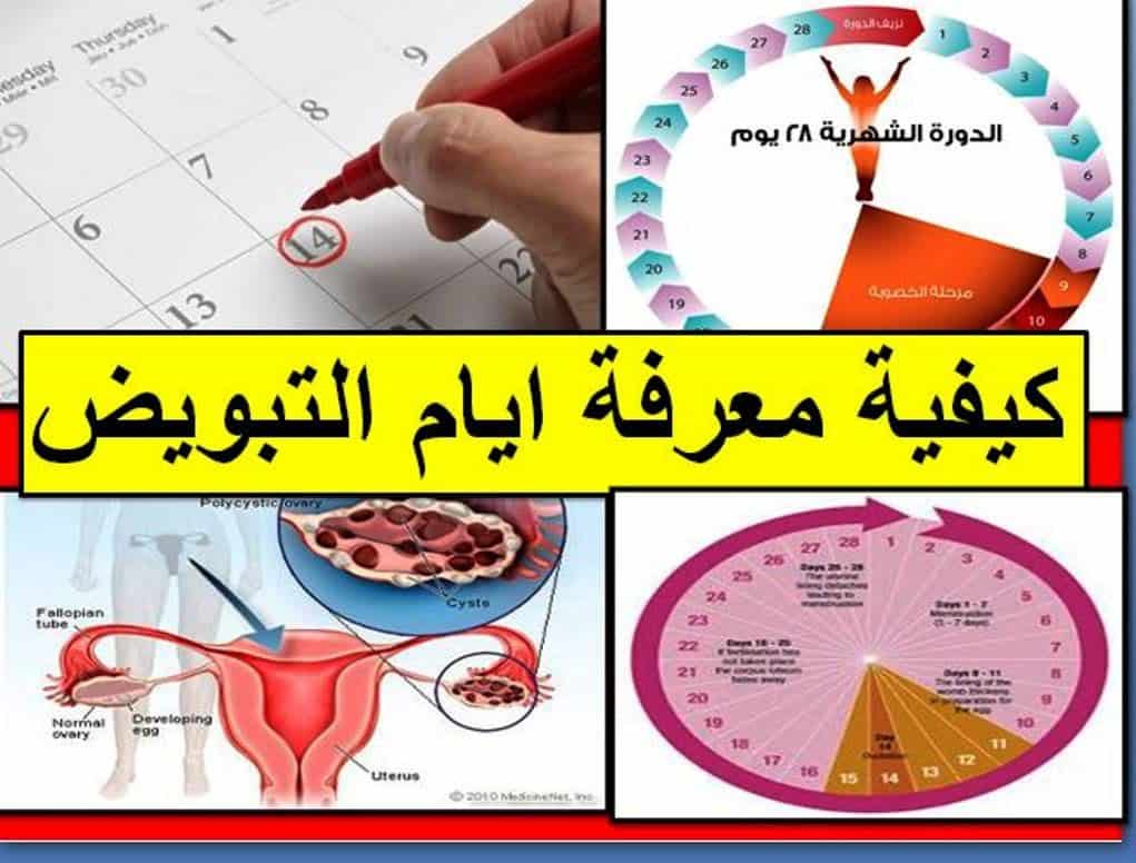 كم فترة الدورة الشهرية , الدورة الشهرية وترتيبها عند النساء بالايام