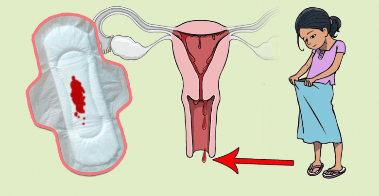 كيف الدورة الشهرية - العادة الشهرية وما يحدث بها 1586 1