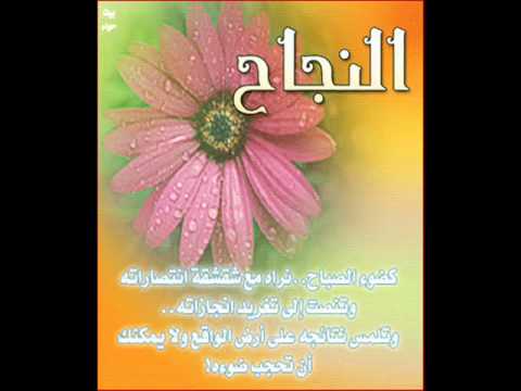 شعر في النجاح - اروع كلمات مبهجه عن التفوق والنجاح 237 2