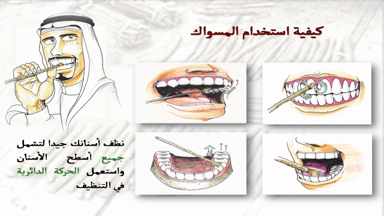 طريقة استخدام السواك , طرق استخدام السوالك الصحيحه