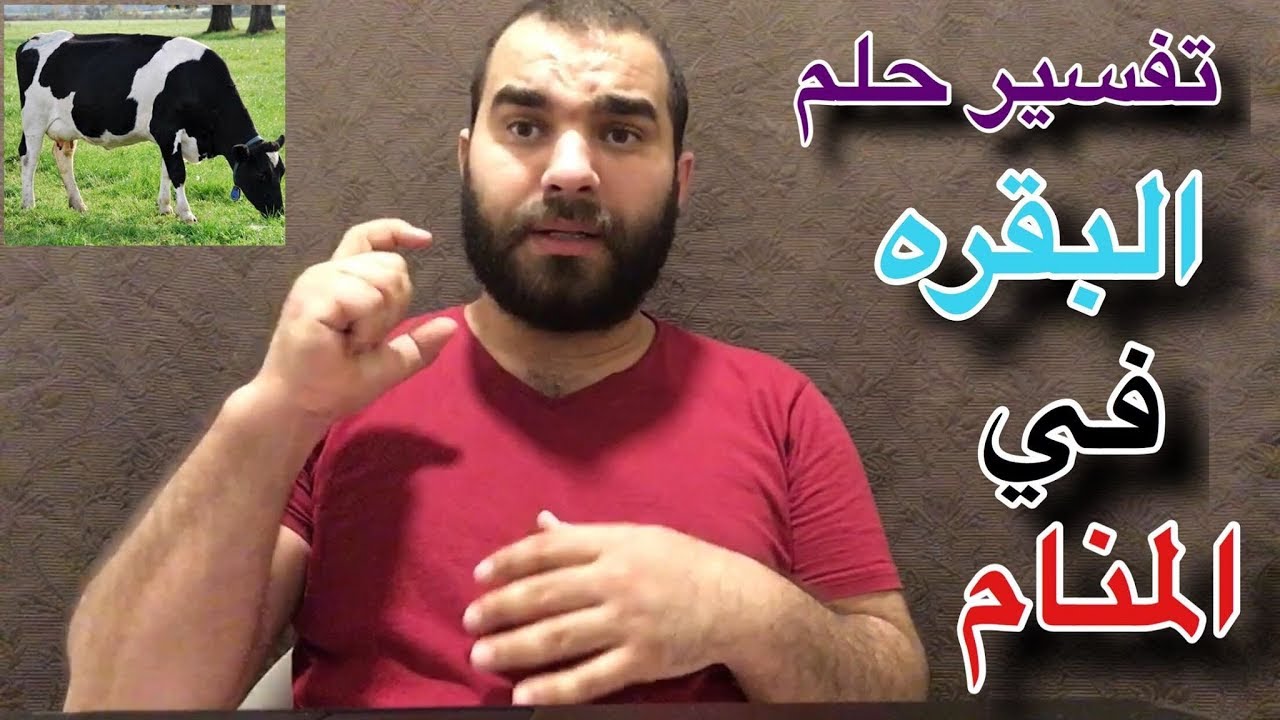 تفسير الاحلام البقرة تجري ورائي - راي المفسرون في مطاردة البقرة للرائي 576