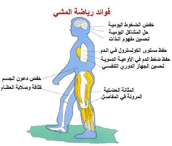 حكم عن الرياضة - اهمية الرياضة فى حياتك 3352 4