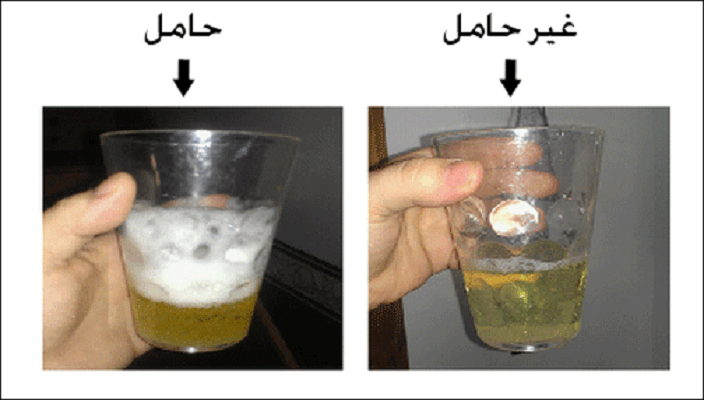 كيفية معرفة الحمل من اول يوم - الحمل واختبارة من اول يوم 2963 1