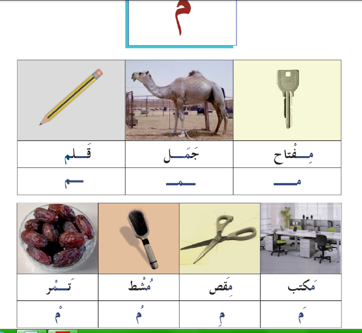 اشياء بحرف الميم - ما هى الكلمات التى تبدا بحرف الميم 1594