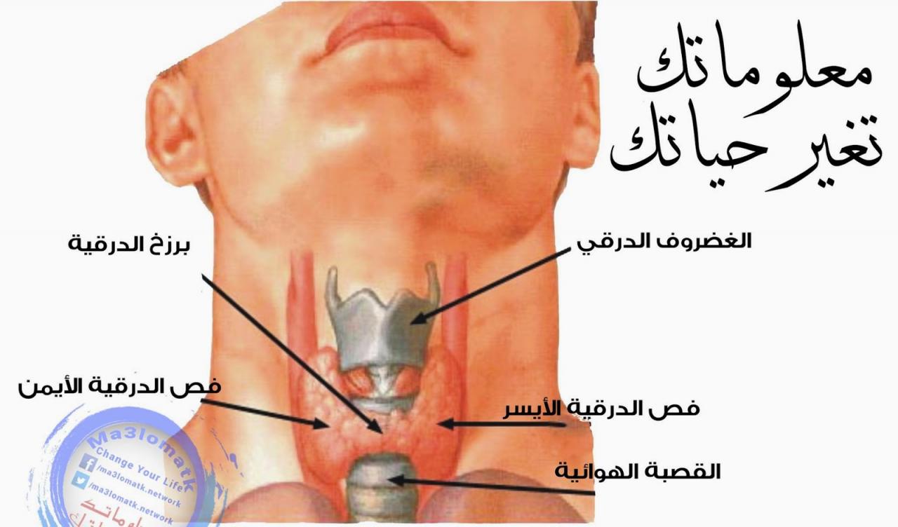 اعراض الغدة الدرقية اسبابها - سبب الغده و طرق علاجها 3718 1