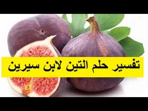 قطف التين في المنام , رسالة حلم