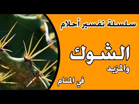 نزع الشوك في المنام , راي مفسرو الاحلام في زراعه الشوك