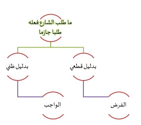 الفرق بين الواجب والفرض - كيف تفرق بين الفرض والواجب 2814 3