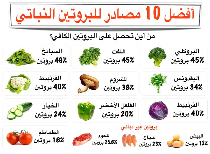 اين يوجد البروتين بكثرة - الغذاء الذي يحتوى علي كميه كبيره من البرويتن 838 1