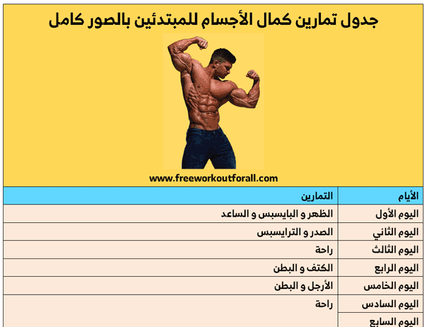 تمارين كمال الاجسام للمبتدئين , للحصول على جسم ضخم