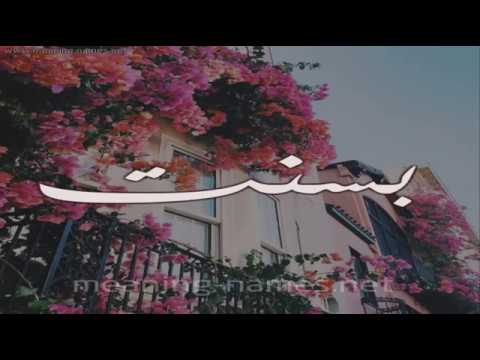 معنى اسم بسنت - انتي زهرة 1245 1