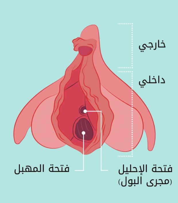 الحجم الطبيعي للمهبل - احجام المهبل و انواعه