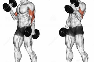 نصائح لزيادة كيفية حجم تضخيم العضلات 1870 4 1 310x205