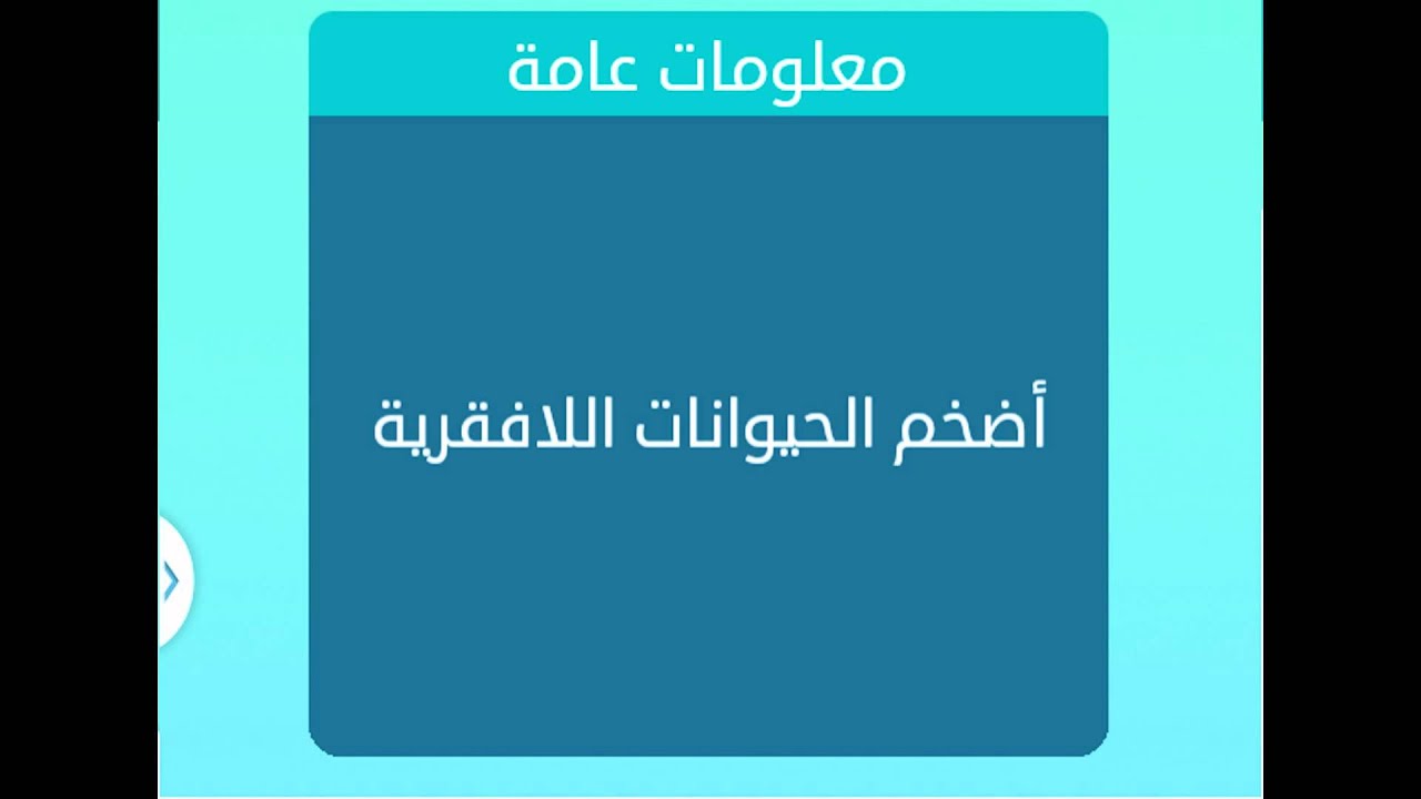 اضخم الحيوانات اللافقارية , تعرف على الحيوان المائي اللافقاري الضخم