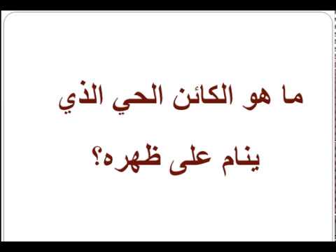 ماهو الحيوان الذي ينام على ظهره , سؤال لتشغيل العقل وتعرف على اجابته