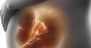 معرفة قبل عن حامل بتوام بانك العادى الدورة الحمل اعراض 3301 6 310x165
