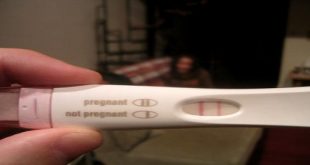يظهر متى في علي تعرفي بعد المنزلي الحمل التحليل الاجهاض الإجابة 8500 1 310x165